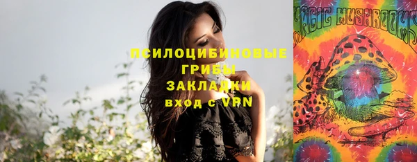 ECSTASY Покровск