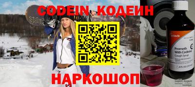 гашик Кингисепп