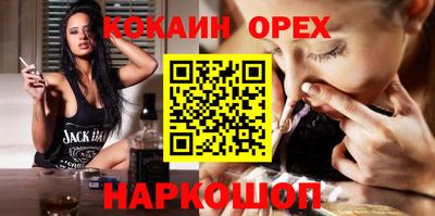 гашик Кингисепп