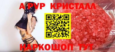 гашик Кингисепп