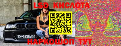 гашик Кингисепп