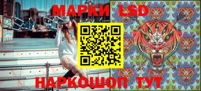 гашик Кингисепп