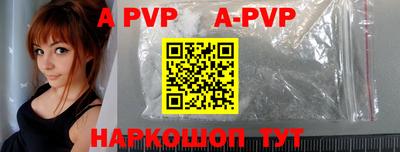 гашик Кингисепп