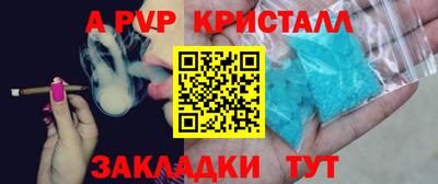 гашик Кингисепп