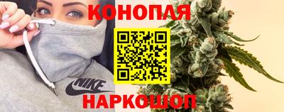 гашик Кингисепп