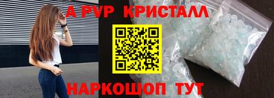 гашик Кингисепп