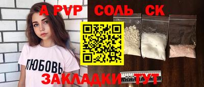 гашик Кингисепп