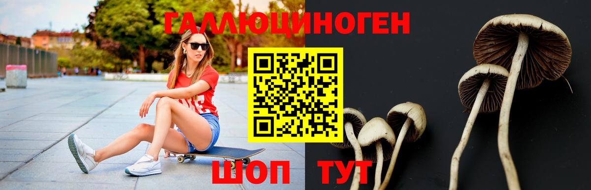 Кострома  Псилоцибиновые грибы мухоморы  купить   Вход с VPN  Псилоцибиновые грибы мухоморы 